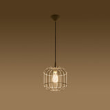 c4a300ed01fd75f5117783785df1145f