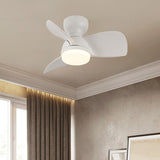 Einfacher, stilvoller Deckenventilator mit LED-Beleuchtung