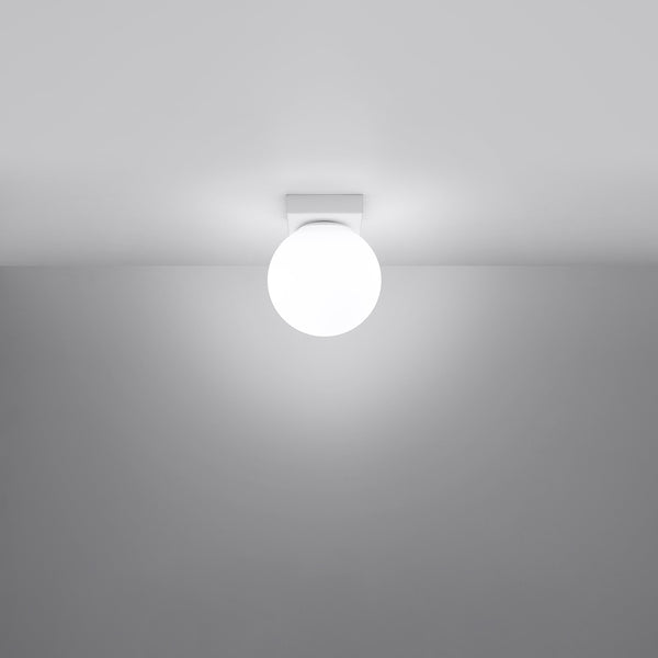 0e11f13cb3239a14a54b009ad605c20d