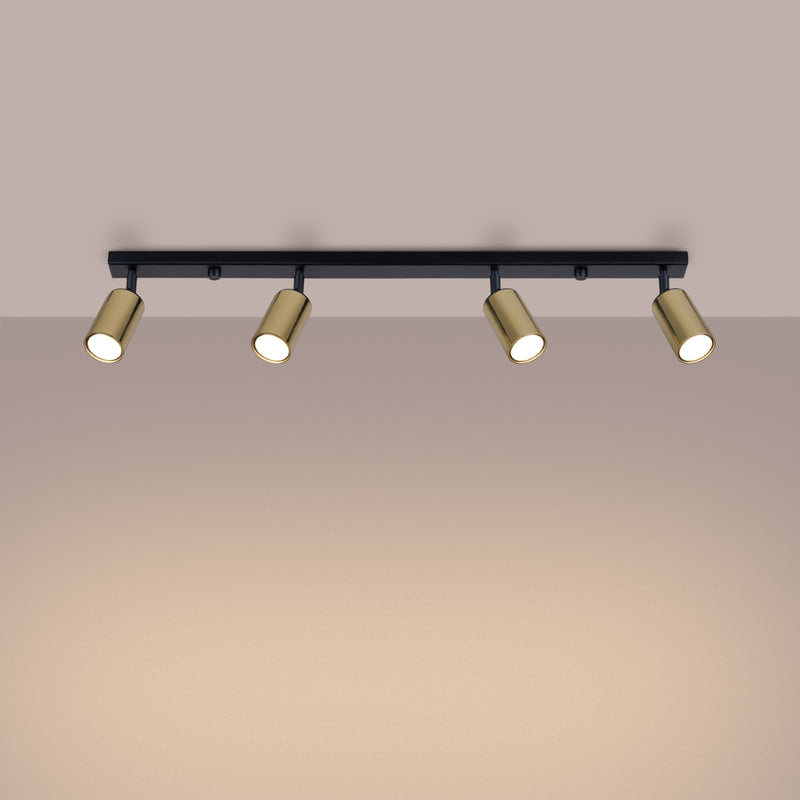 713e32aceac7873a188ae4ee61974648