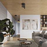 306fd6200b879e6e8d70536382d3cd56