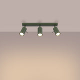 cae53fbc8d366d67c9d683fa439d0499