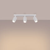 7393eff5bd81e4a1a642697fc0887641