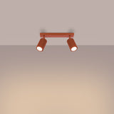 7ac692a2c4701997665c13490d9587c1