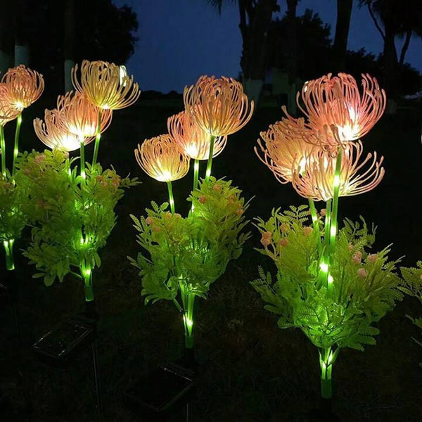 Wunderliche Feenblumen