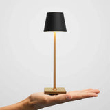 Brian Modern Tragbare Taschen-Tischlampe