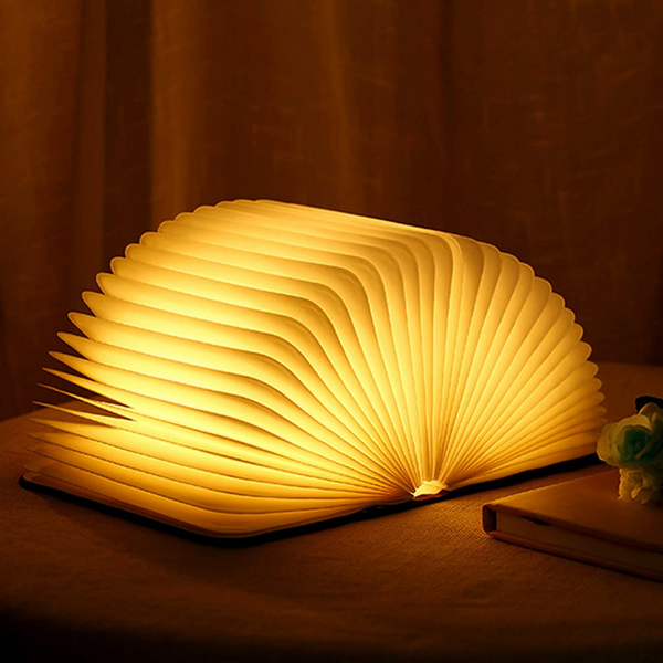 Enchanted Book Lampe für auf Tisch mit warmem Licht