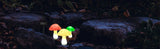 LUMIGLOW Solar-Pilz-Lichterkette
