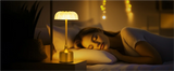LumiVintage 3000 – Retro LED Tischlampe mit Touch-Dimmung und 3000mAh Akku