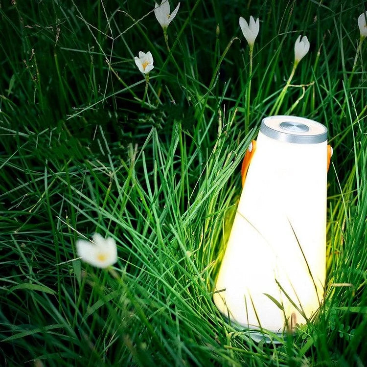 Tragbare LED-Outdoor-Campinglampe